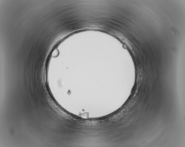 X0000111451080200908241200