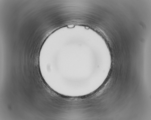 X0000111451081200908241200