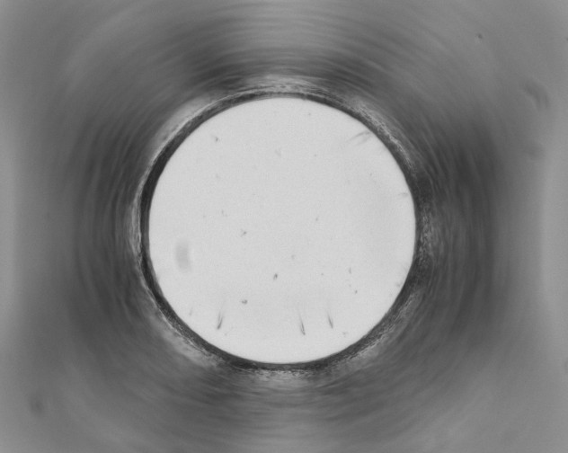 X0000111451082200908241200