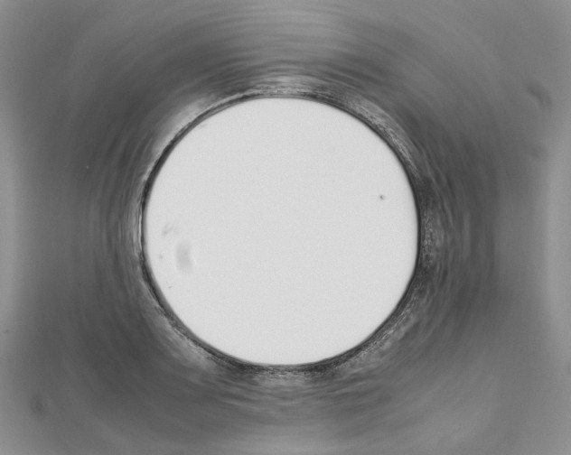 X0000111451083200908241200