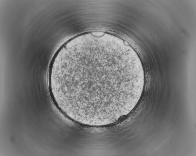 X0000111451084200908241200
