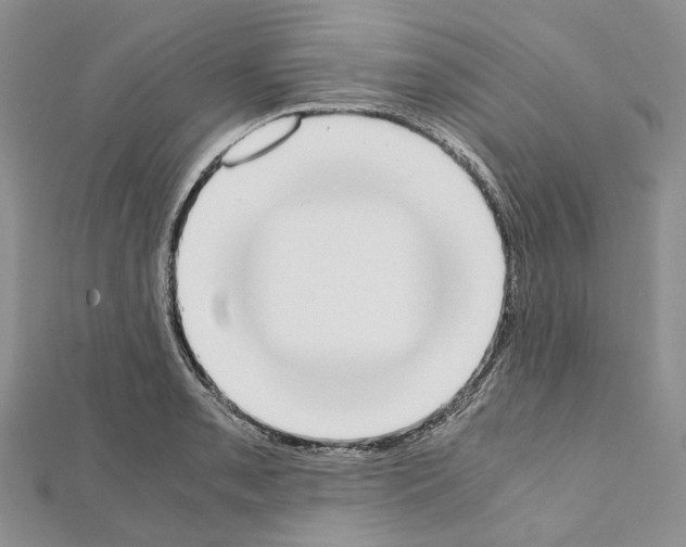 X0000111451085200908241200