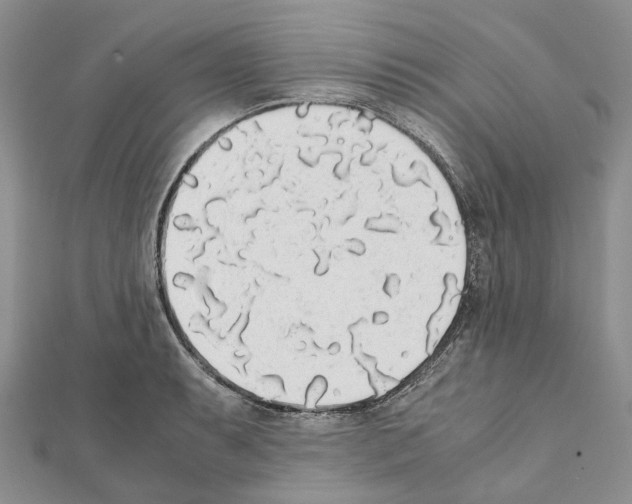 X0000111451087200908241200