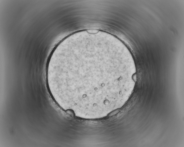 X0000111451088200908241200
