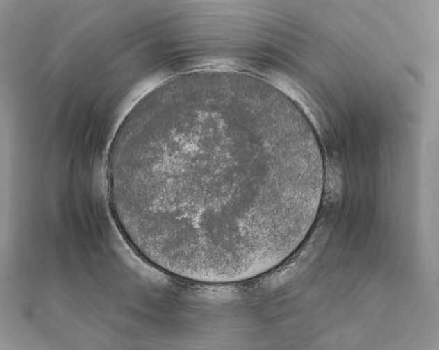 X0000111451090200908241200