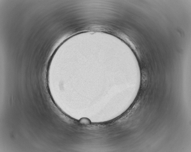 X0000111451091200908241200