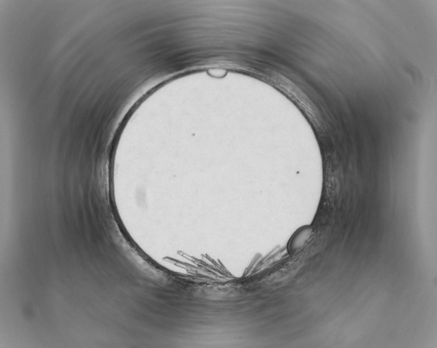 X0000111451092200908241200