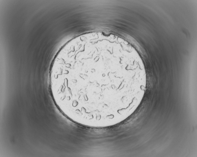 X0000111451095200908241200