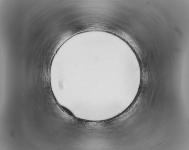 X0000111451097200908241200