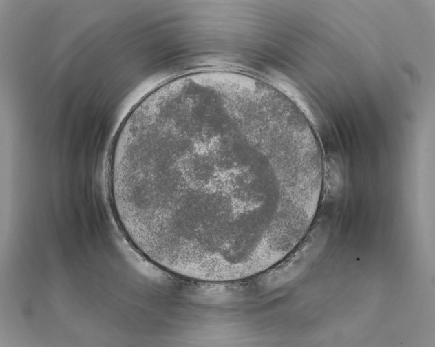 X0000111451098200908241200