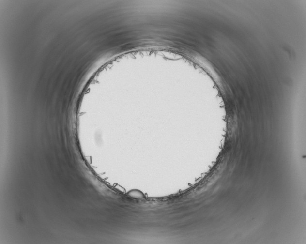 X0000111451099200908241200