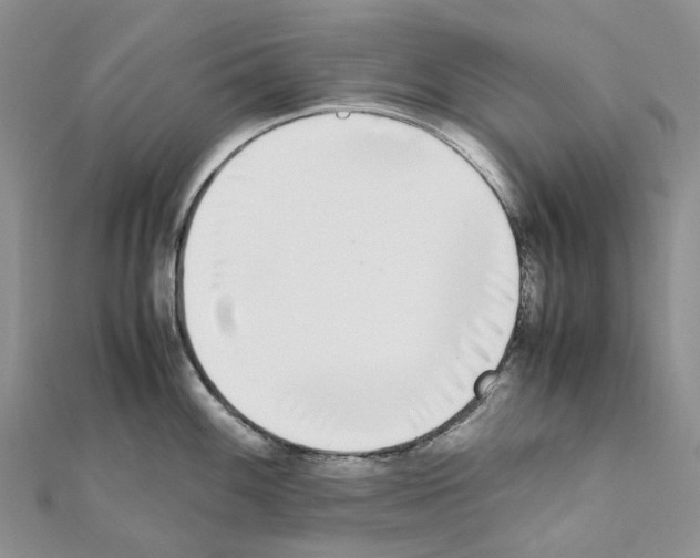 X0000111451100200908241200