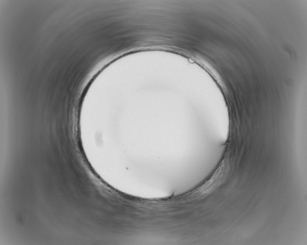 X0000111451101200908241200