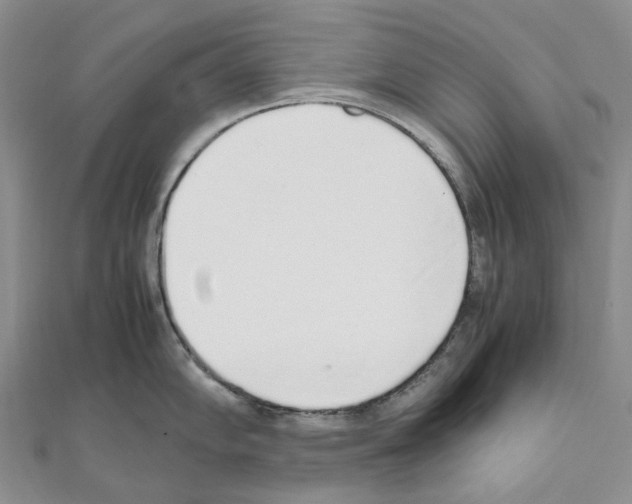 X0000111451102200908241200