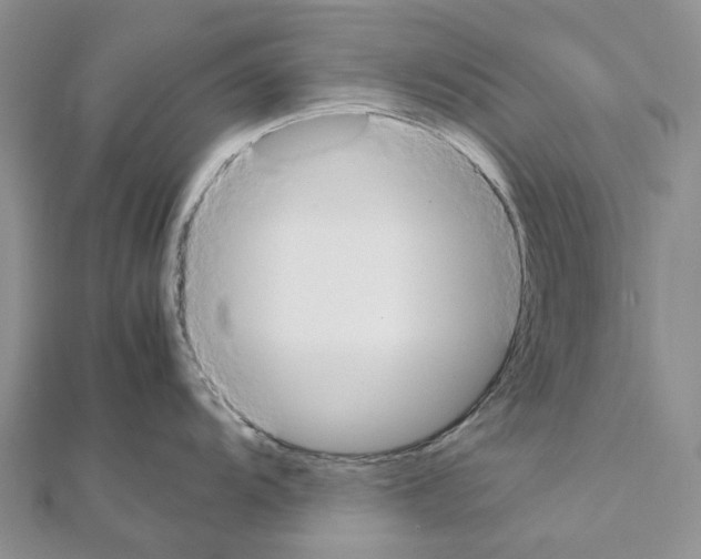 X0000111451104200908241200