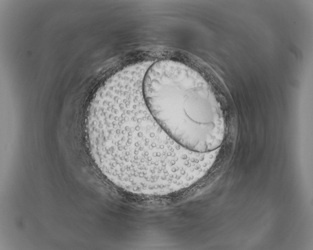 X0000111451105200908241159