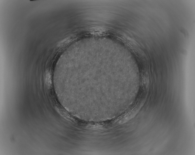 X0000111451106200908241159