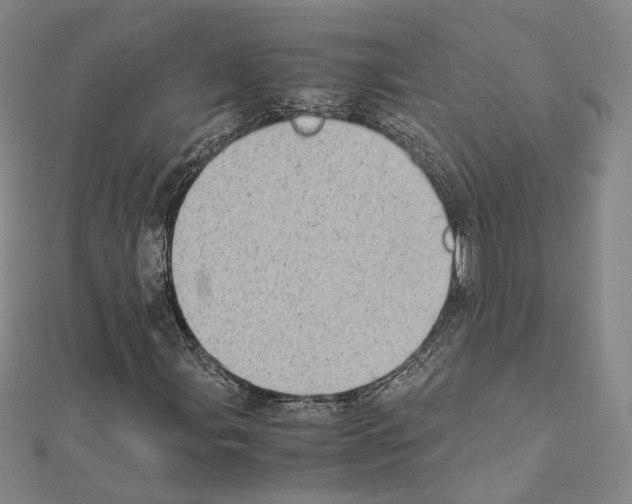 X0000111451107200908241159