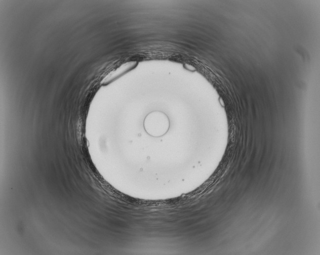 X0000111451108200908241159