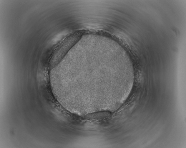 X0000111451110200908241159