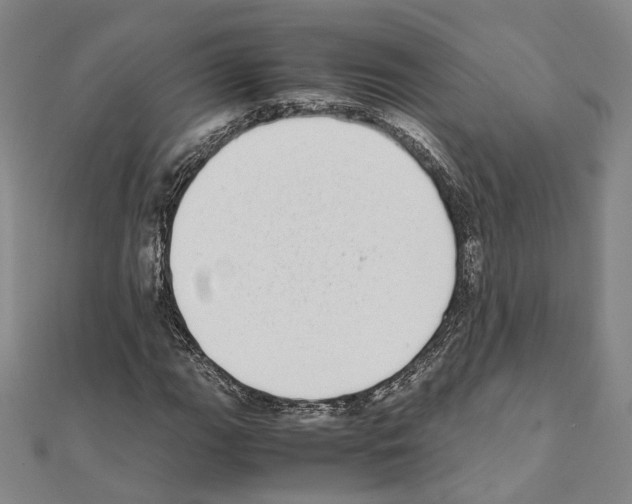 X0000111451111200908241159