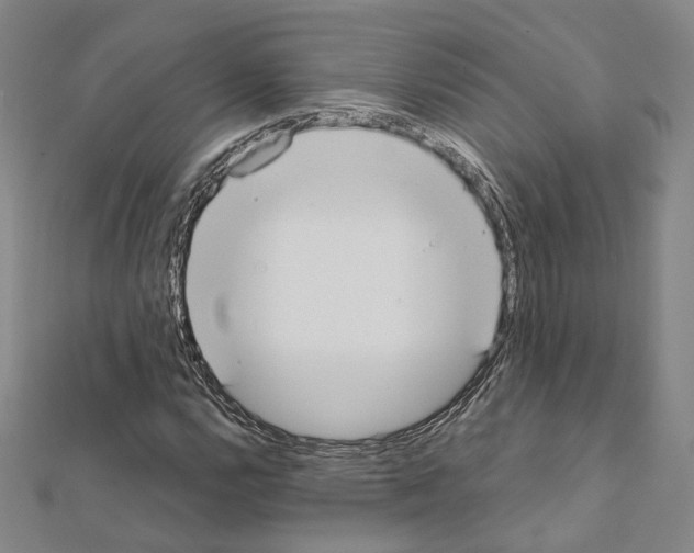 X0000111451112200908241159