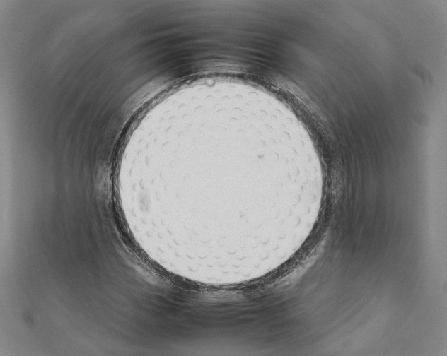 X0000111451113200908241159
