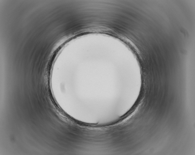 X0000111451114200908241159