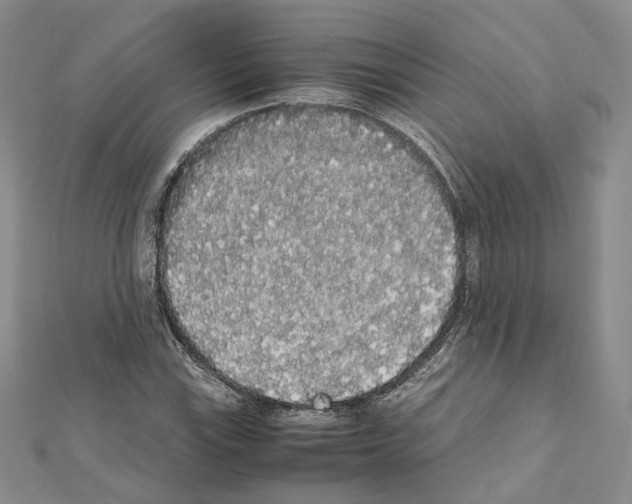 X0000111451115200908241159