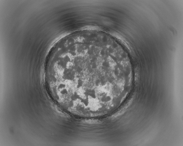 X0000111451117200908241159