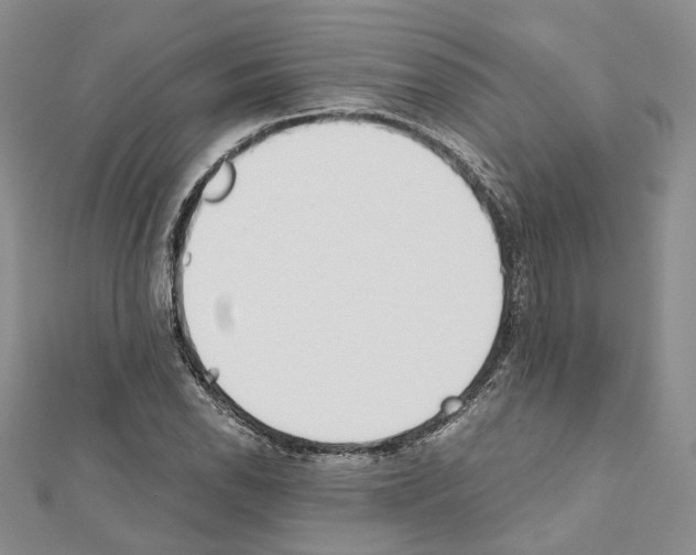 X0000111451118200908241159