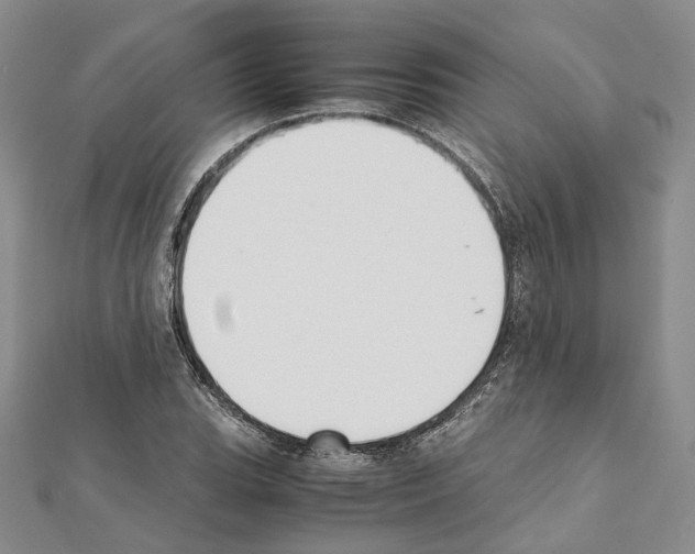 X0000111451119200908241159