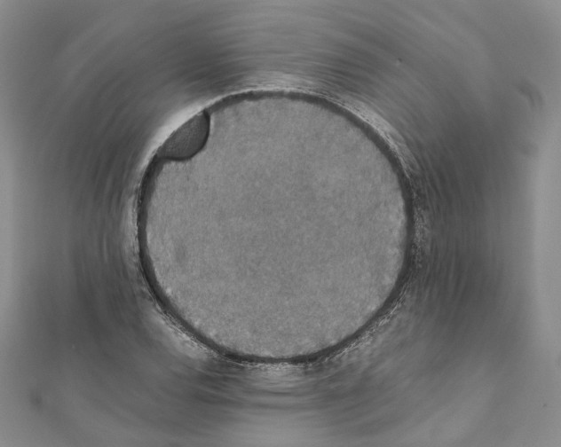 X0000111451120200908241159