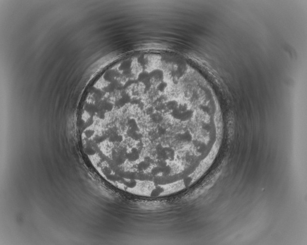 X0000111451121200908241159