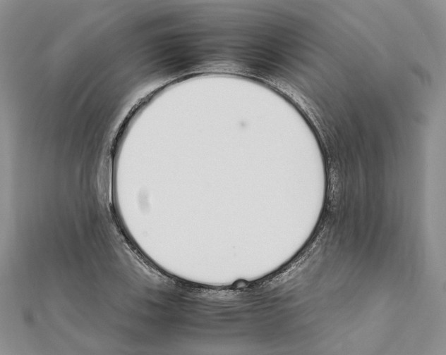X0000111451123200908241159