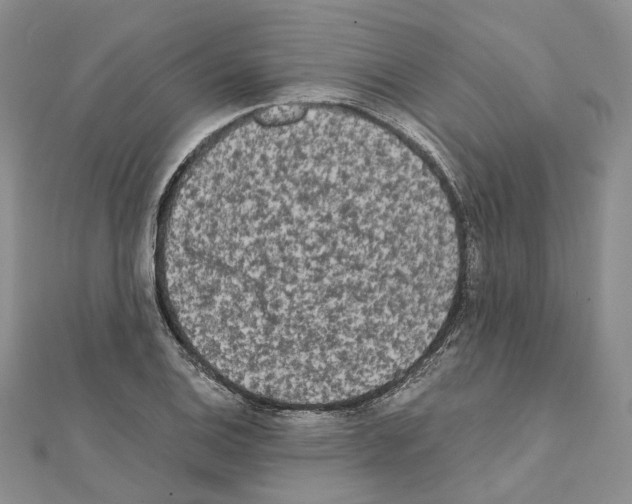 X0000111451124200908241159