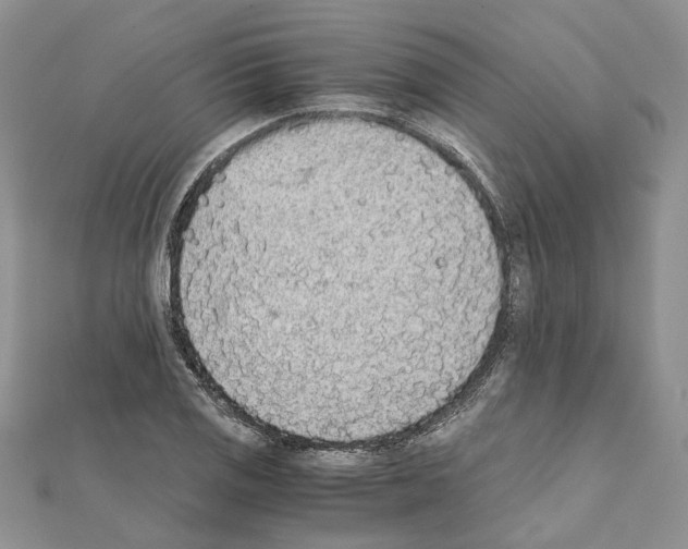 X0000111451125200908241159