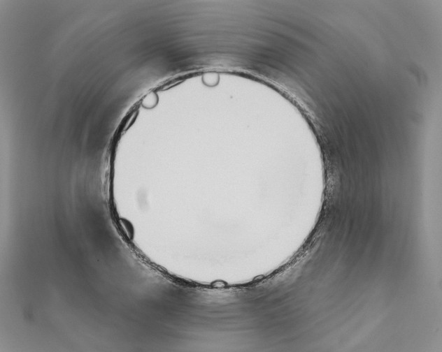 X0000111451126200908241159