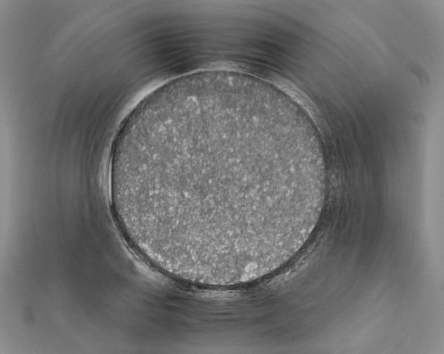 X0000111451127200908241159
