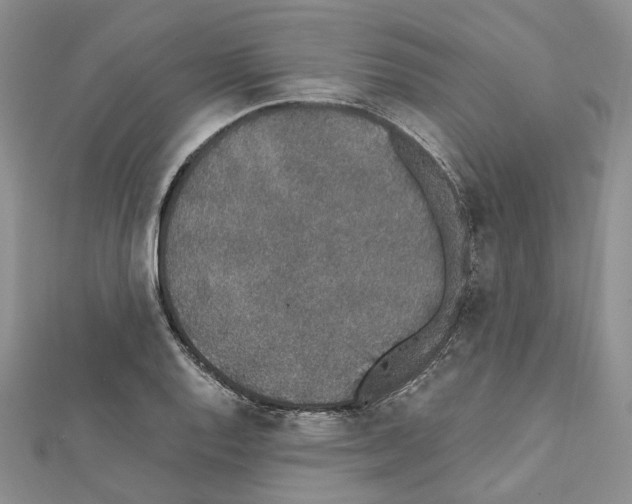 X0000111451128200908241159