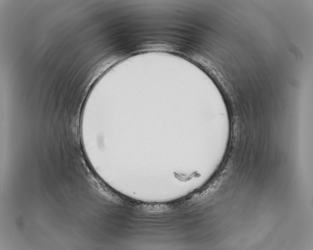 X0000111451129200908241159