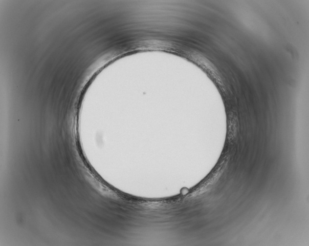 X0000111451130200908241200