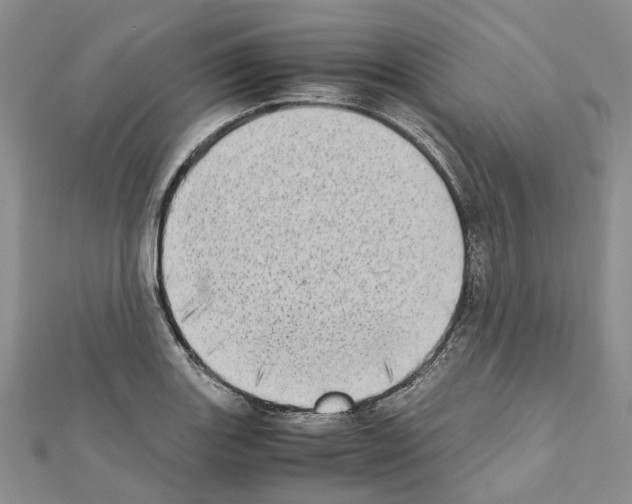 X0000111451131200908241200
