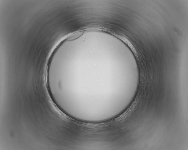 X0000111451132200908241200