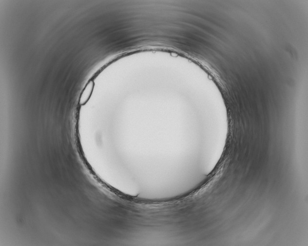 X0000111451134200908241200