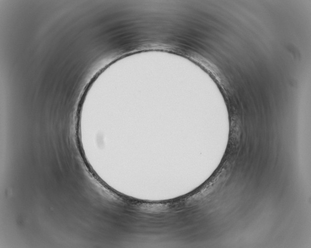 X0000111451135200908241200