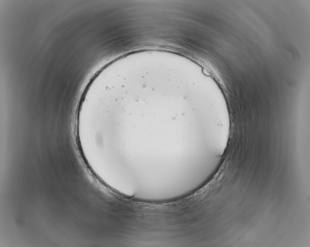 X0000111451136200908241200