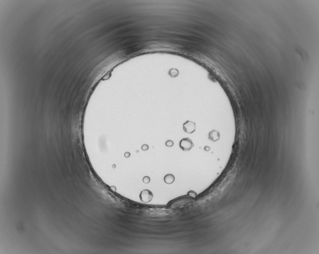 X0000111451137200908241200