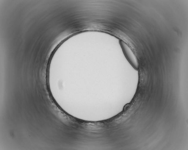 X0000111451138200908241200