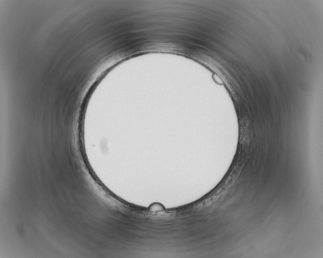 X0000111451139200908241200